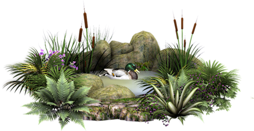 3120738217_1_3_FtfoI3wH