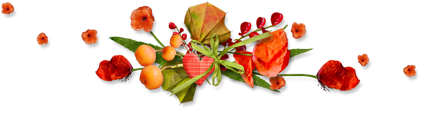Bon Lundi 3157074868_1_4_7uDjliGw