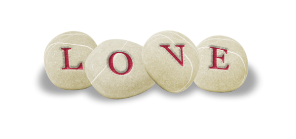 3164610096_1_8_ENveXCED