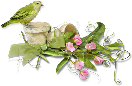 3175895361_1_4_wHkHantU