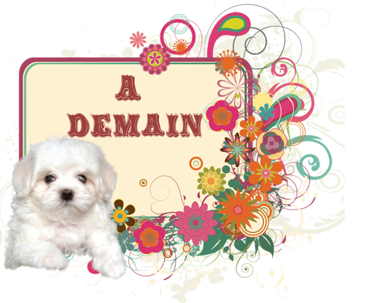 3256443214_1_9_R33liExw