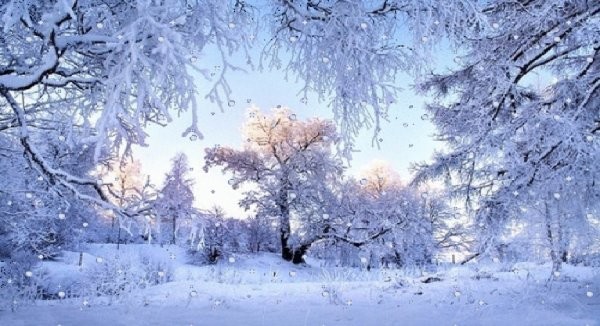 La magie de l'hiver 4 Foto & Bild