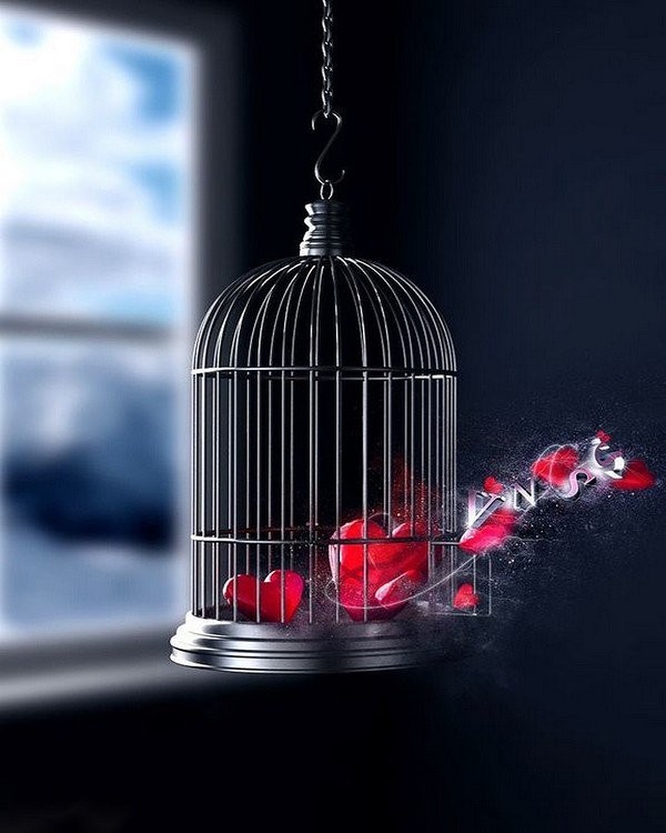 Image du Blog ladouceurdunsoir.centerblog.net